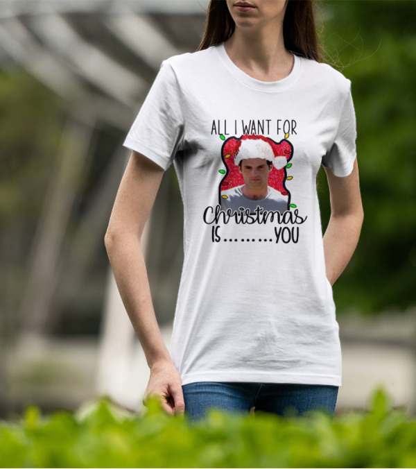 Joe Goldberg Santa Hat All I Want For Christmas Is You Christmas Lights T-Shirt