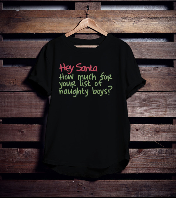 Hey Santa How Much For Your List Of Naughty Boys T-Shirt