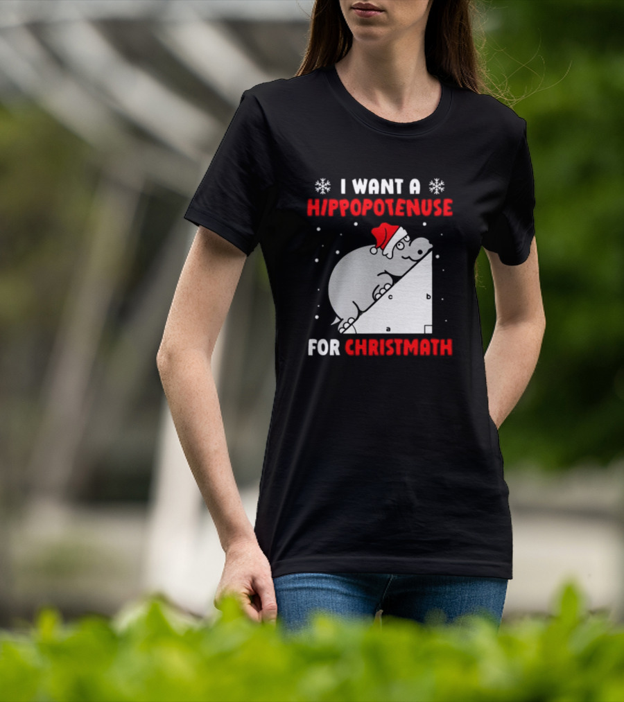 I Want A Hippopotenuse For Christmath Santa Hippo Geometry T-Shirt