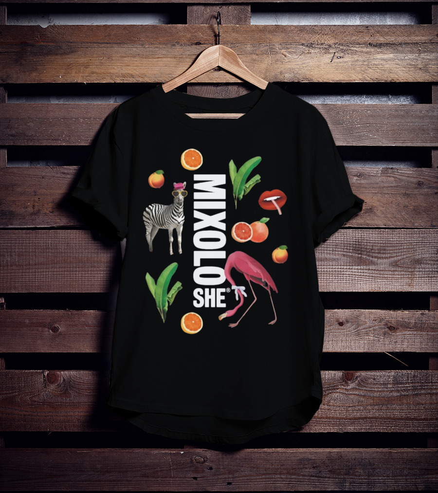 Mixoloshe Zebra Flamingo Lips With Fruits And Leaves T-Shirt