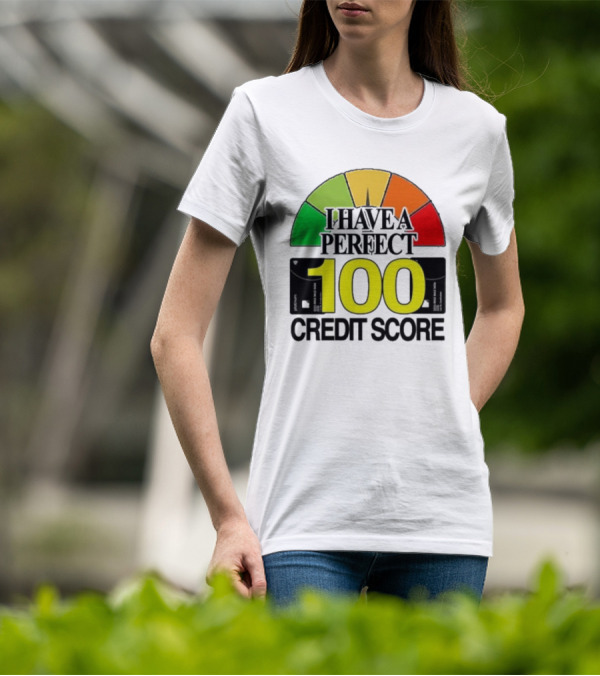 I Have A Perfect 100 Credit Score Gauge Graph T-Shirt