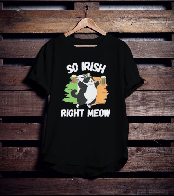 So Irish Right Meow Cat Holding Beer With Irish Flag In Background T-Shirt