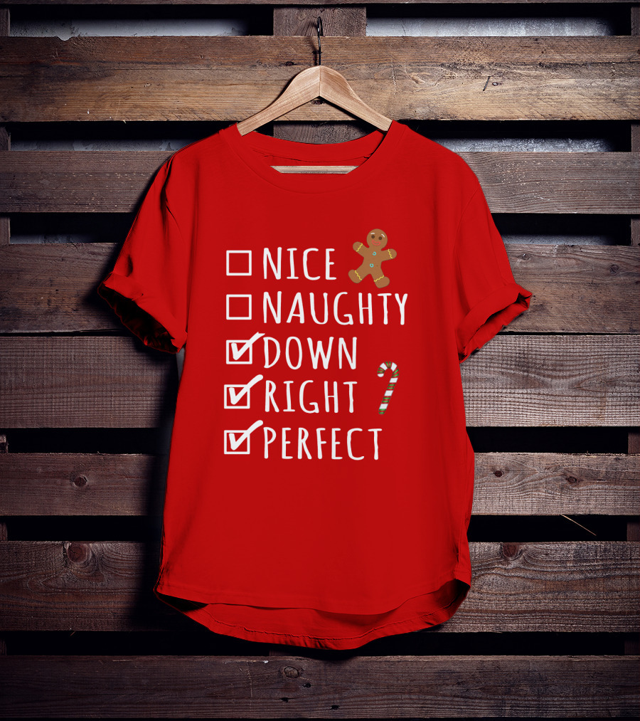 Nice Naughty Down Right Perfect Gingerbread Candy Cane Holiday Checklist T-Shirt