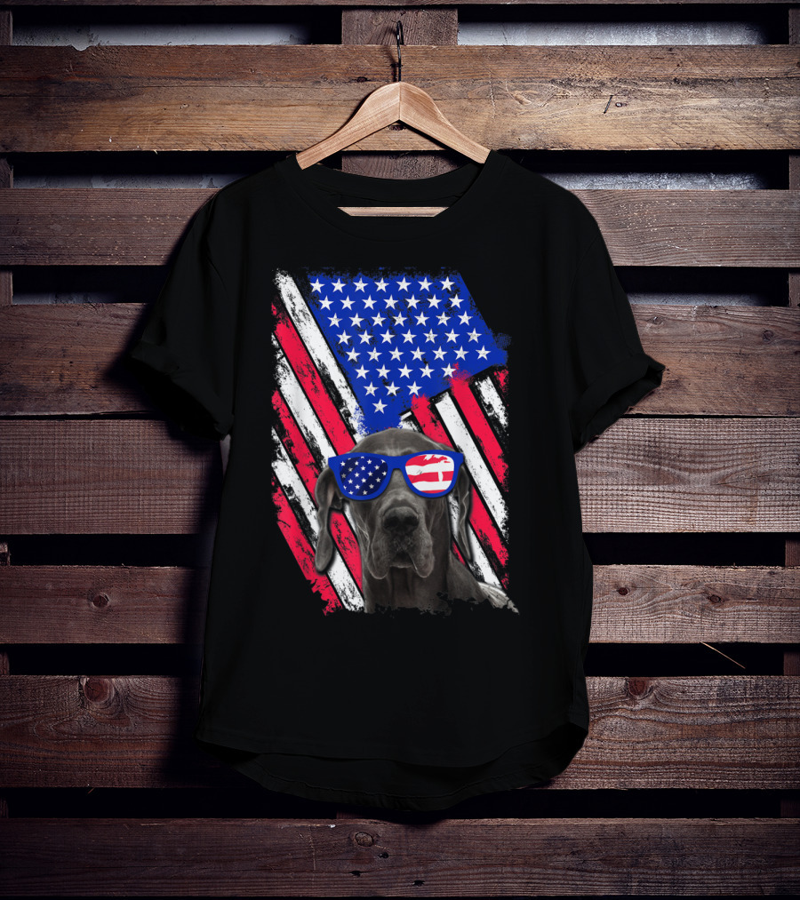 Vintage Distressed Great Dane With American USA Flag Sunglasses T-Shirt