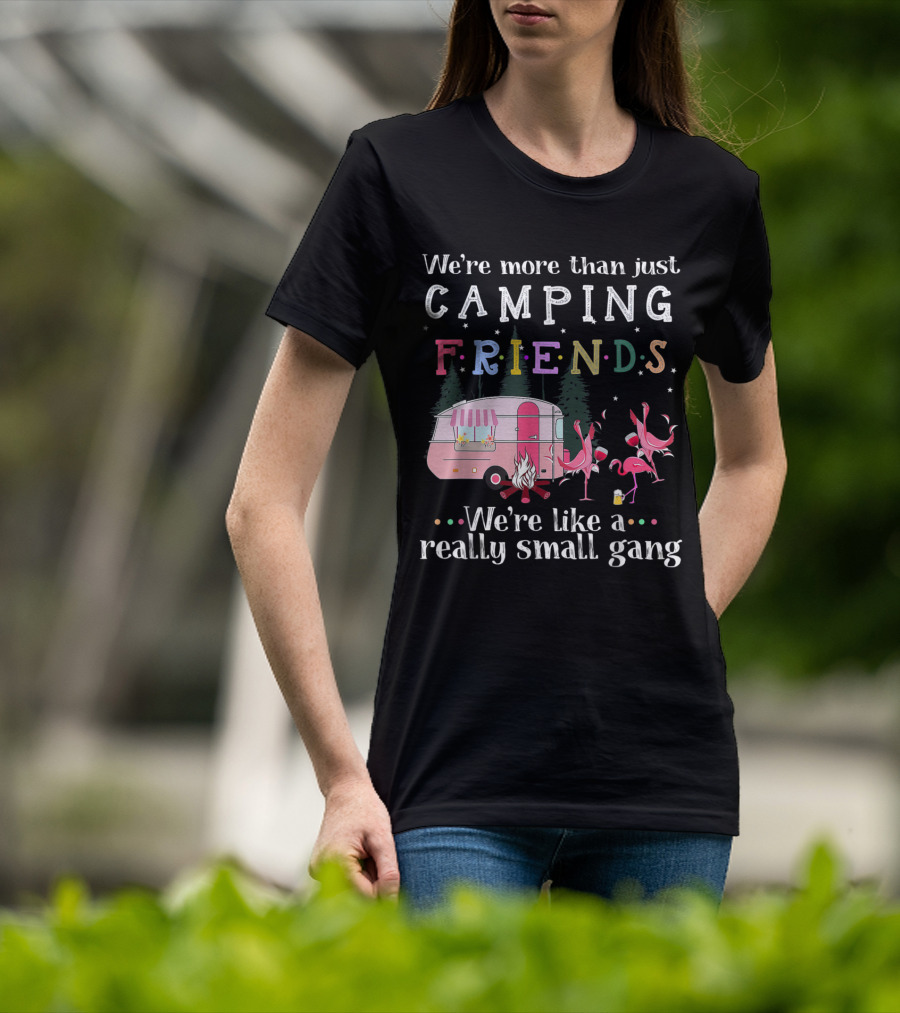 We're More Than Just Camping Friends Flamingo Like A Really Small Gang T-Shirt