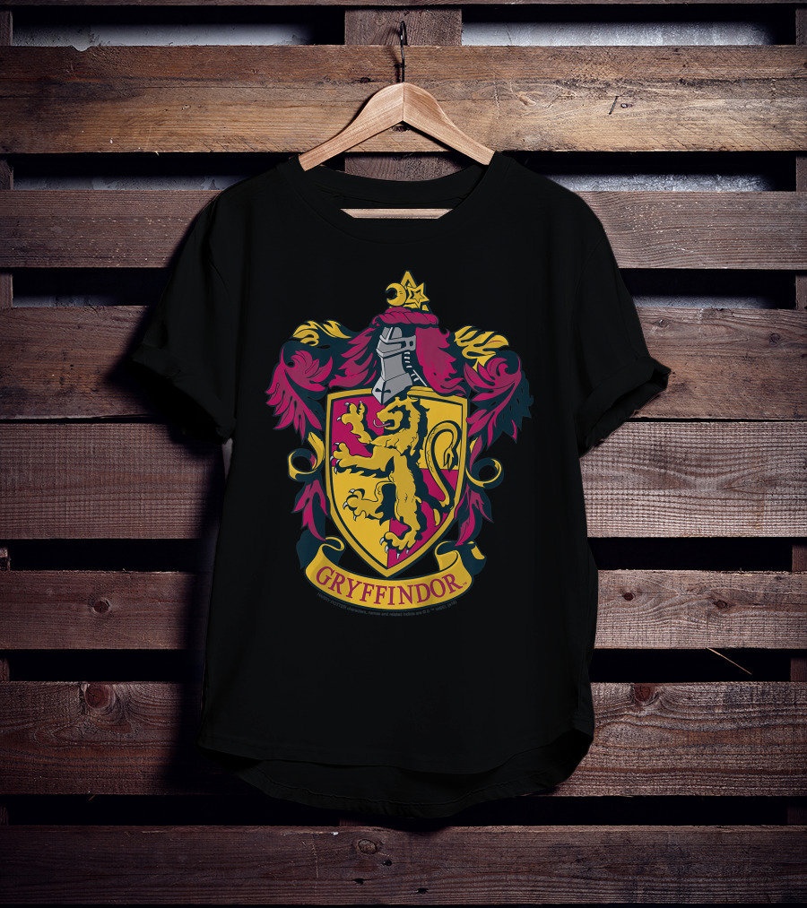 Gryffindor Only Today T-Shirt