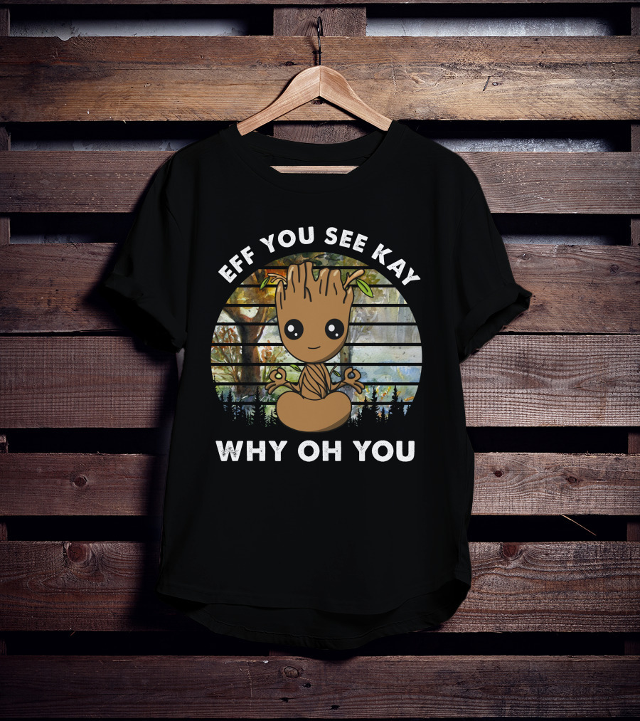 Eff You See Kay Why Oh You Today T-Shirt