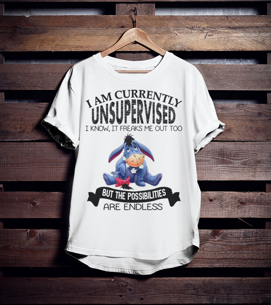 Eeyore Currently Unsupervised I Know It Freaks Me Out Too But The Possibilities Are Endless T-Shirt