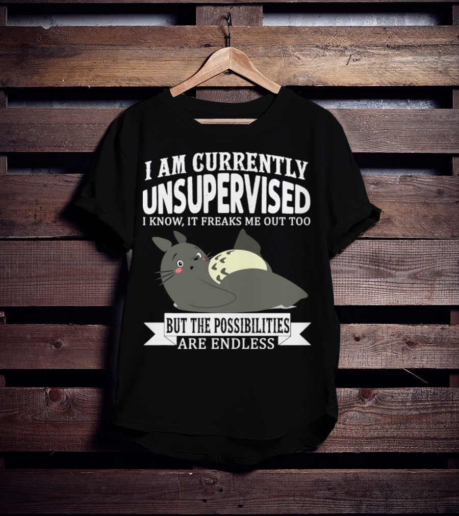 I Am Currently Unsupervised Totoro I Know It Freaks Me Out Too But The Possibilities Are Endless T-Shirt