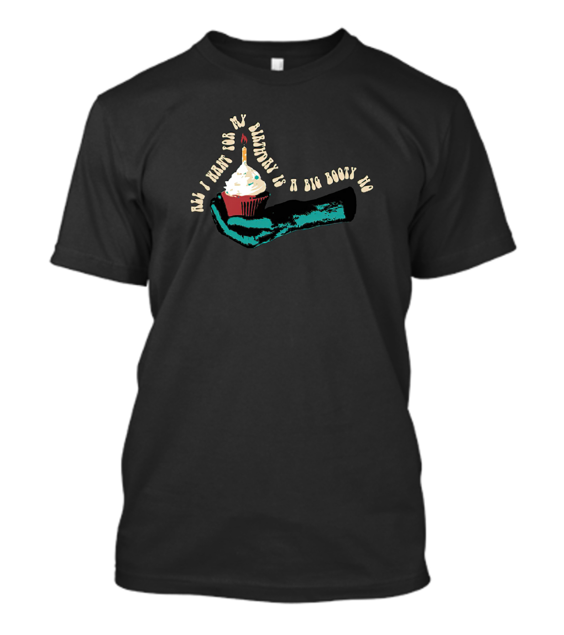 All I Want For My Birthday Is A Big Booty Ho Sarah Baska T-Shirt