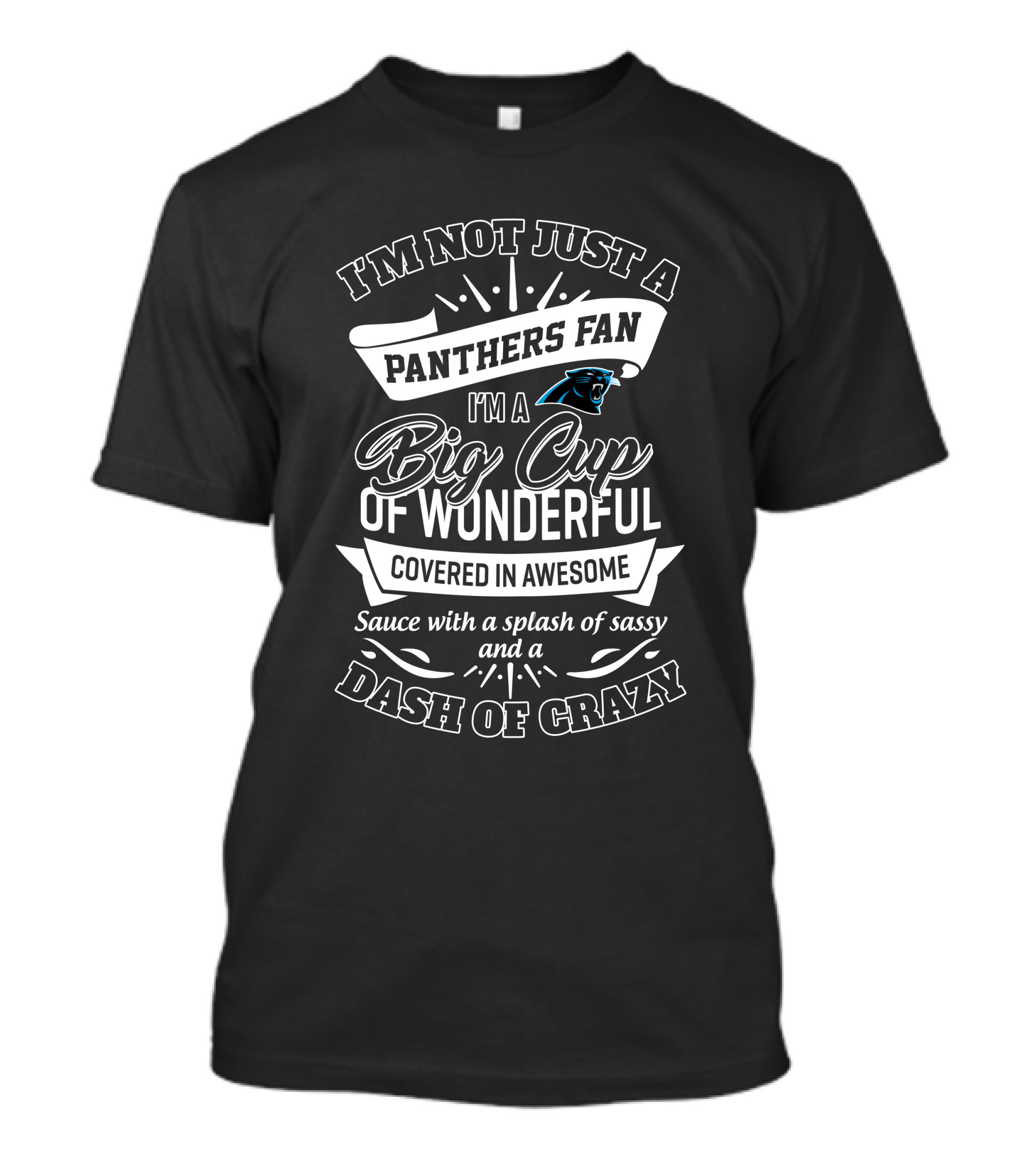 I'm Not Just A Panthers Fan I'm A Big Cup Of Wonderful Covered In Awesome With A Splash Of Sassy And A Dash Of Crazy T-Shirt