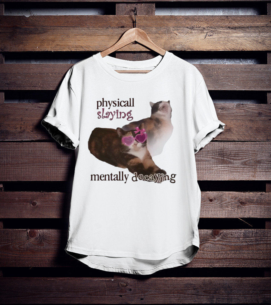 ```Snazzyseagull Physically Slaying Mentally Decaying Cat With Pink Heart Sunglasses``` T-Shirt