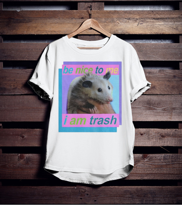 Be Nice To Me I Am Trash Possum Vintage T-Shirt