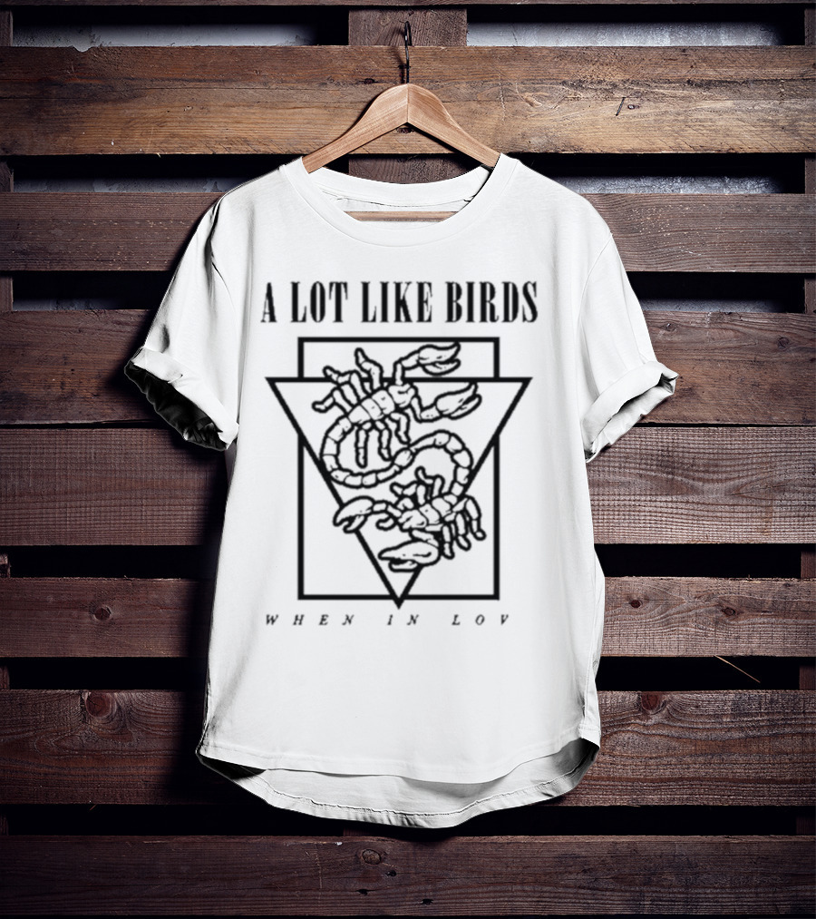A Lot Like Birds When In Love Triangle Artwork T-Shirt