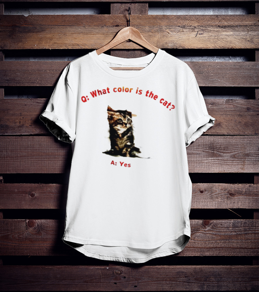 What Color Is The Cat Yes Kitten T-Shirt