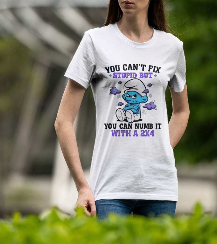 Angry Smurfs You Can't Fix Stupid But You Can Numb It With A 2x4 T-Shirt