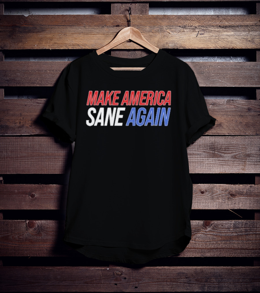 Duke Gomez Make America Sane Again Red White Blue Text T-Shirt