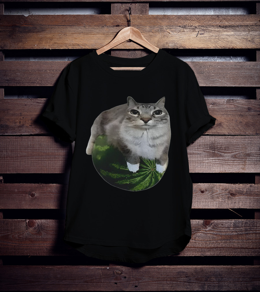 Watermelon Cat Meme Humor Collage T-Shirt