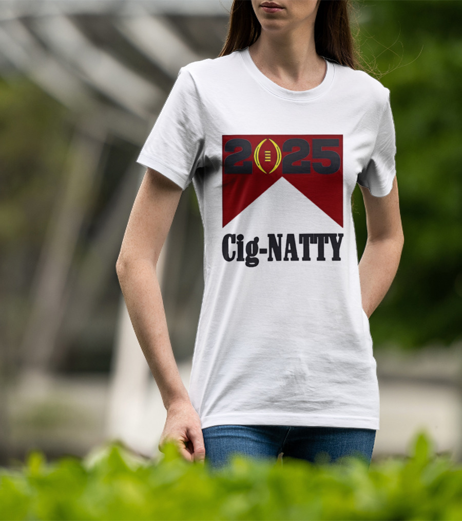 Indiana Hoosiers 2025 Cig Natty Football Banner T-Shirt