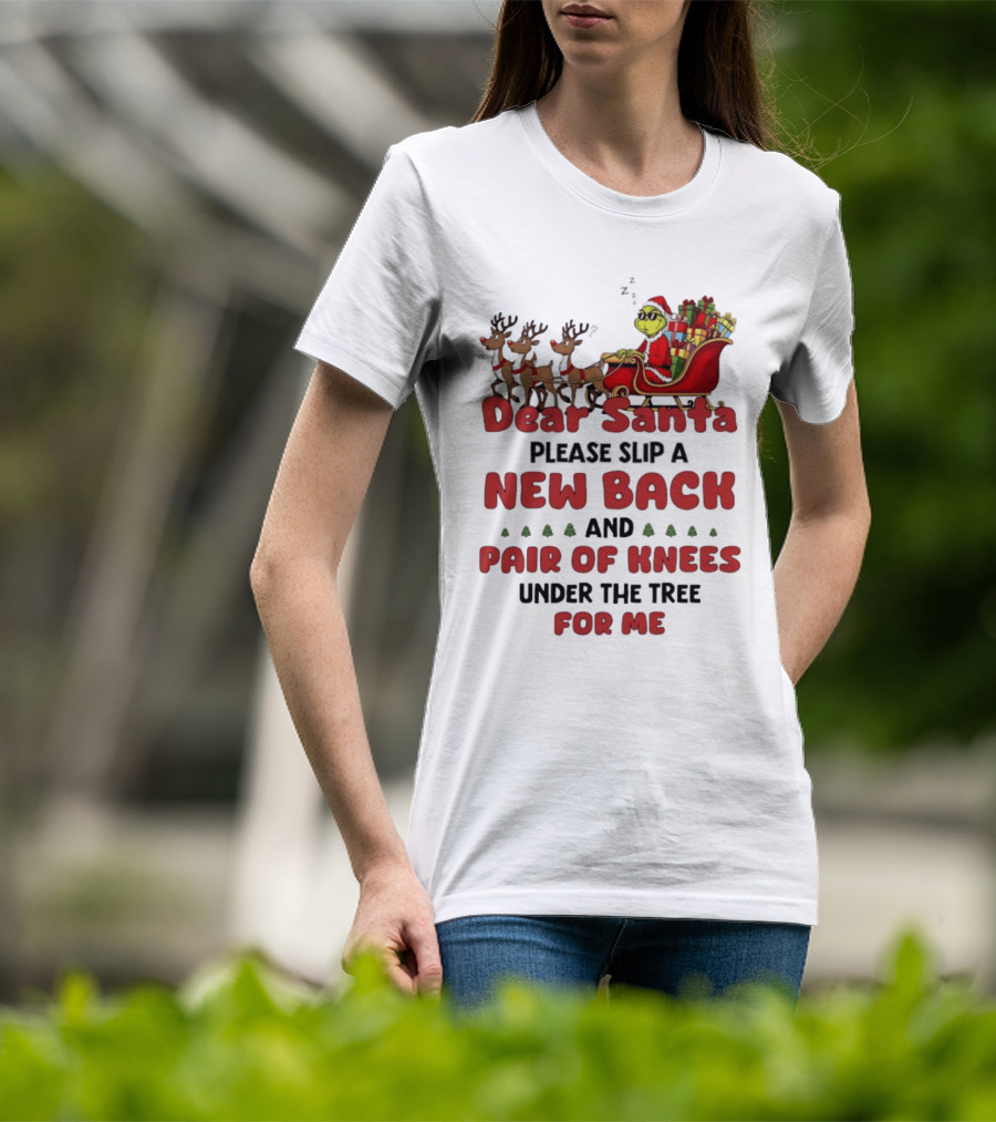 Dear Santa Grinch New Back Pair Of Knees Christmas Humor T-Shirt