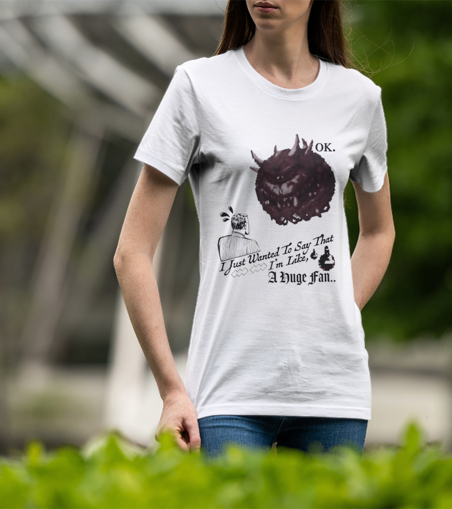 OK I Just Wanted To Say That I'm Like A Huge Fan T-Shirt