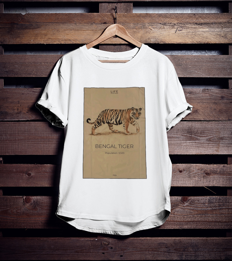 Life Collections Bengal Tiger Population 3,500 1st Ed T-Shirt