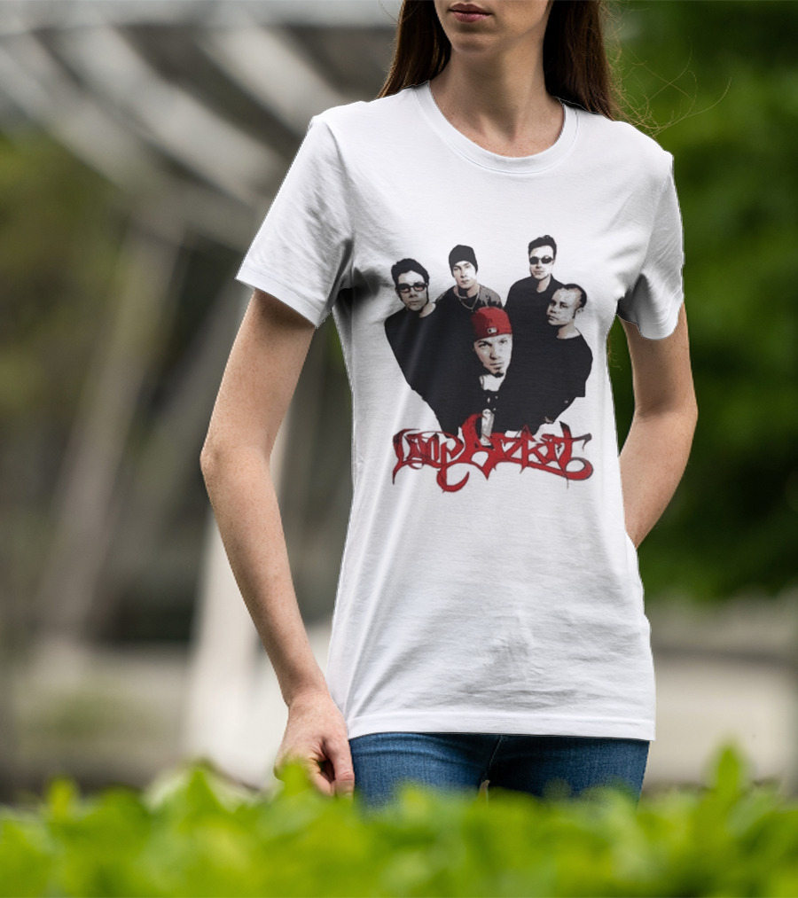 What Do You Guys Think Of My Limp Bizkit Band Members T-Shirt