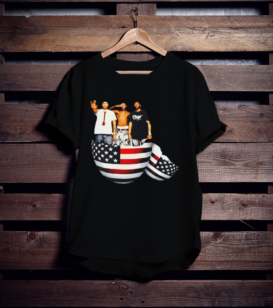 Pharrell Williams Chad Hugo Shae Haley USA Flag Egg Superimposed Image T-Shirt