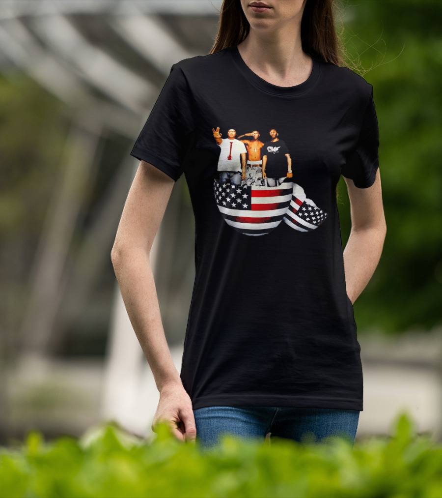 Pharrell Williams Chad Hugo Shae Haley USA Flag Egg Superimposed Image T-Shirt