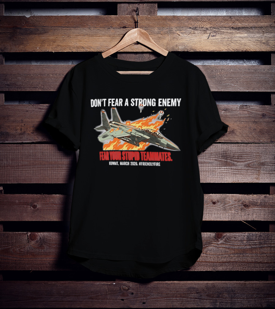 F 15e Strike Eagle Don't Fear A Strong Enemy Fear Your Stupid Teammates 2026 T-Shirt