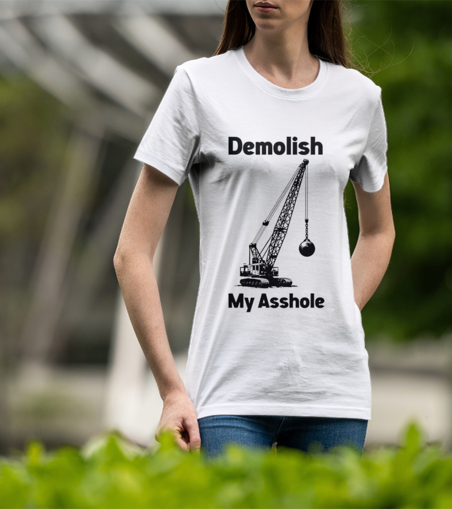Demolish My Asshole Wrecking Ball Joke Humor T-Shirt