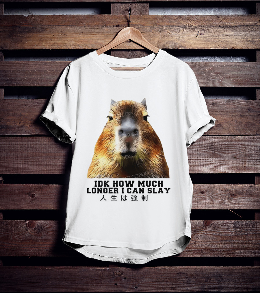 Capybara Idk How Much Longer I Can Slay T-Shirt