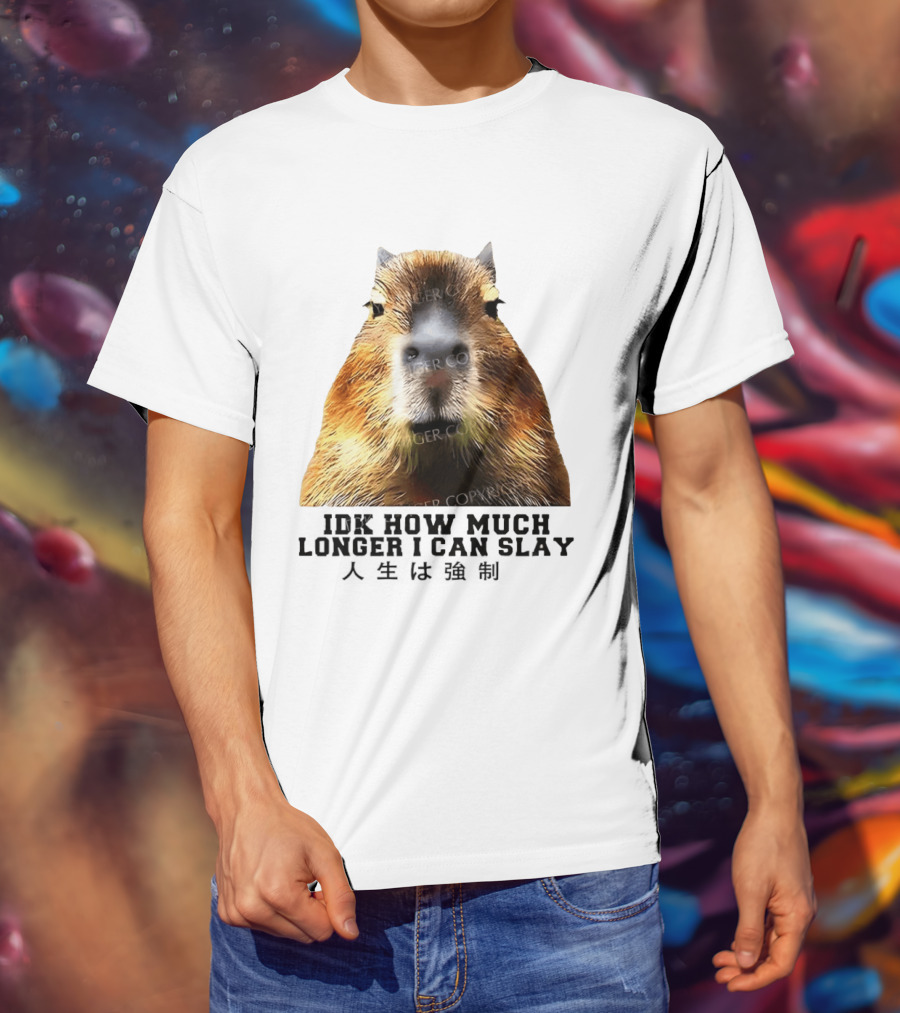 Capybara Idk How Much Longer I Can Slay T-Shirt