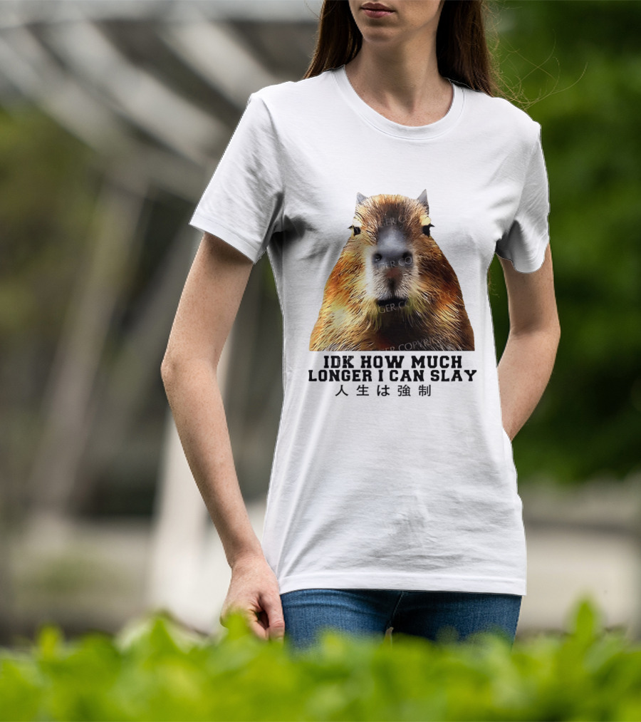 Capybara Idk How Much Longer I Can Slay T-Shirt