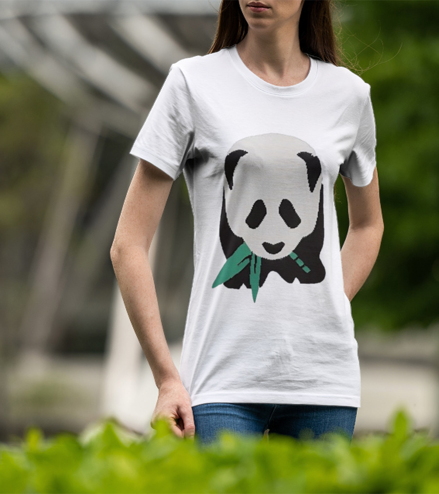 Taylor Wearing Free People Panda T-Shirt