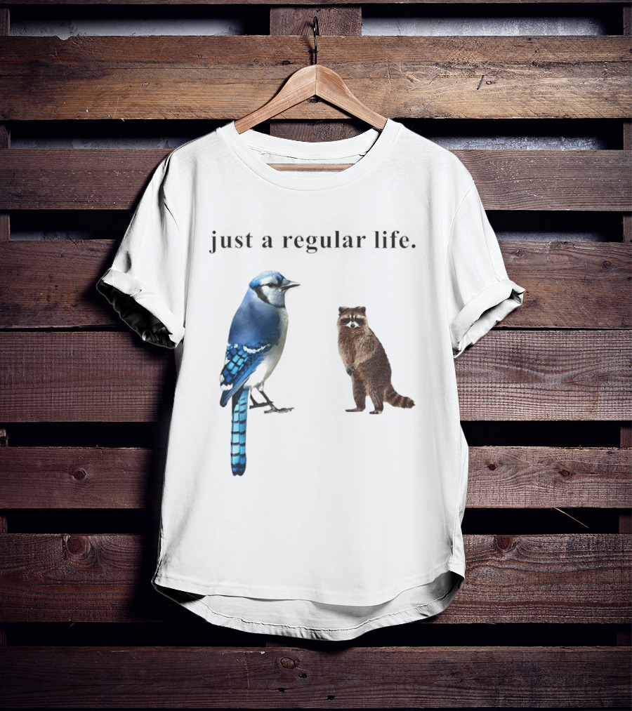 Just A Regular Life Raccoon And Bird Regular Show T-Shirt