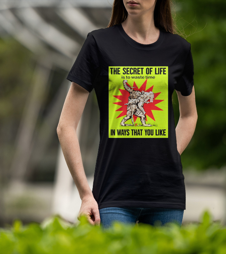 The Secret Of Life Is To Waste Time In Ways That You Like Comic Style Red Burst T-Shirt