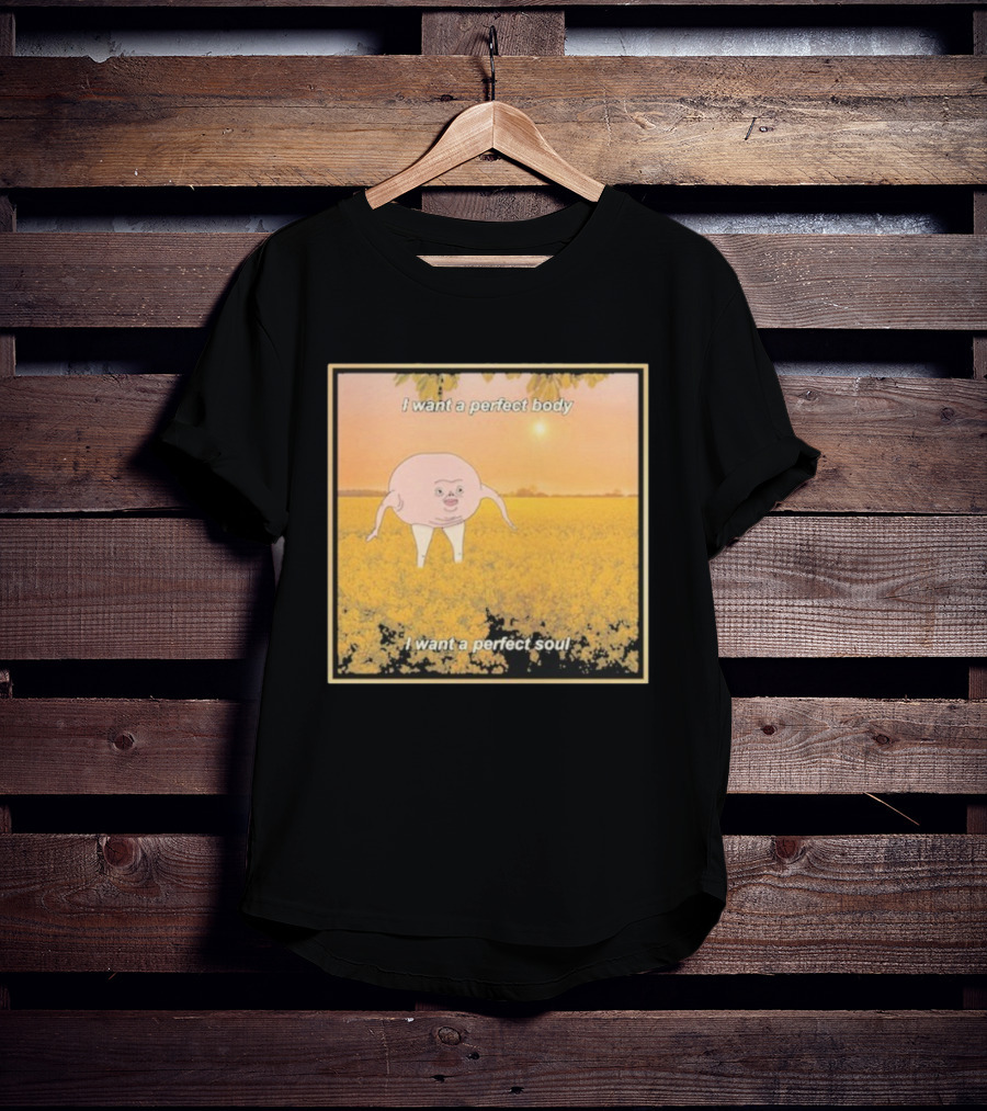 I Want A Perfect Body I Want A Perfect Soul Sunset Parody T-Shirt