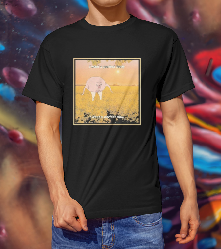 I Want A Perfect Body I Want A Perfect Soul Sunset Parody T-Shirt