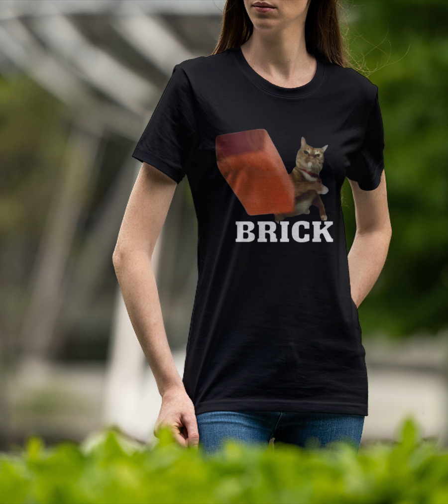 Funny Cat Brick Throw Meme T-Shirt
