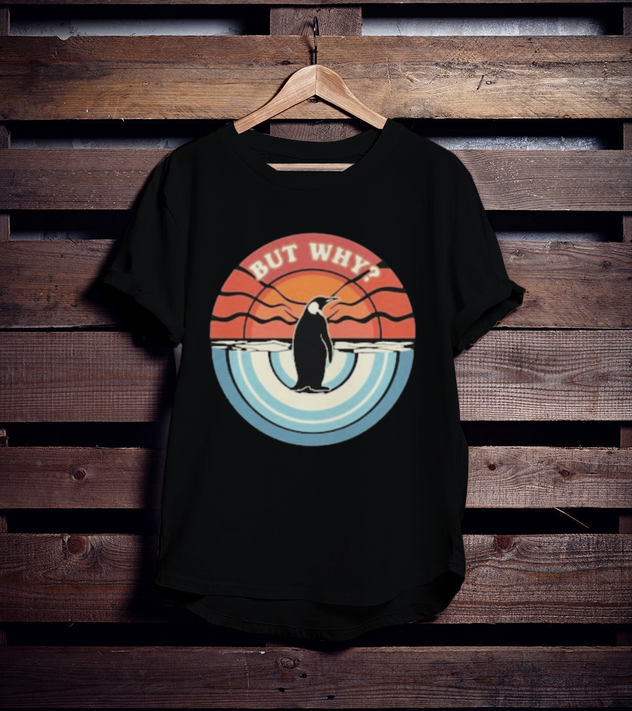 But Why Penguin Vintage Sunset Retro Ocean Waves T-Shirt
