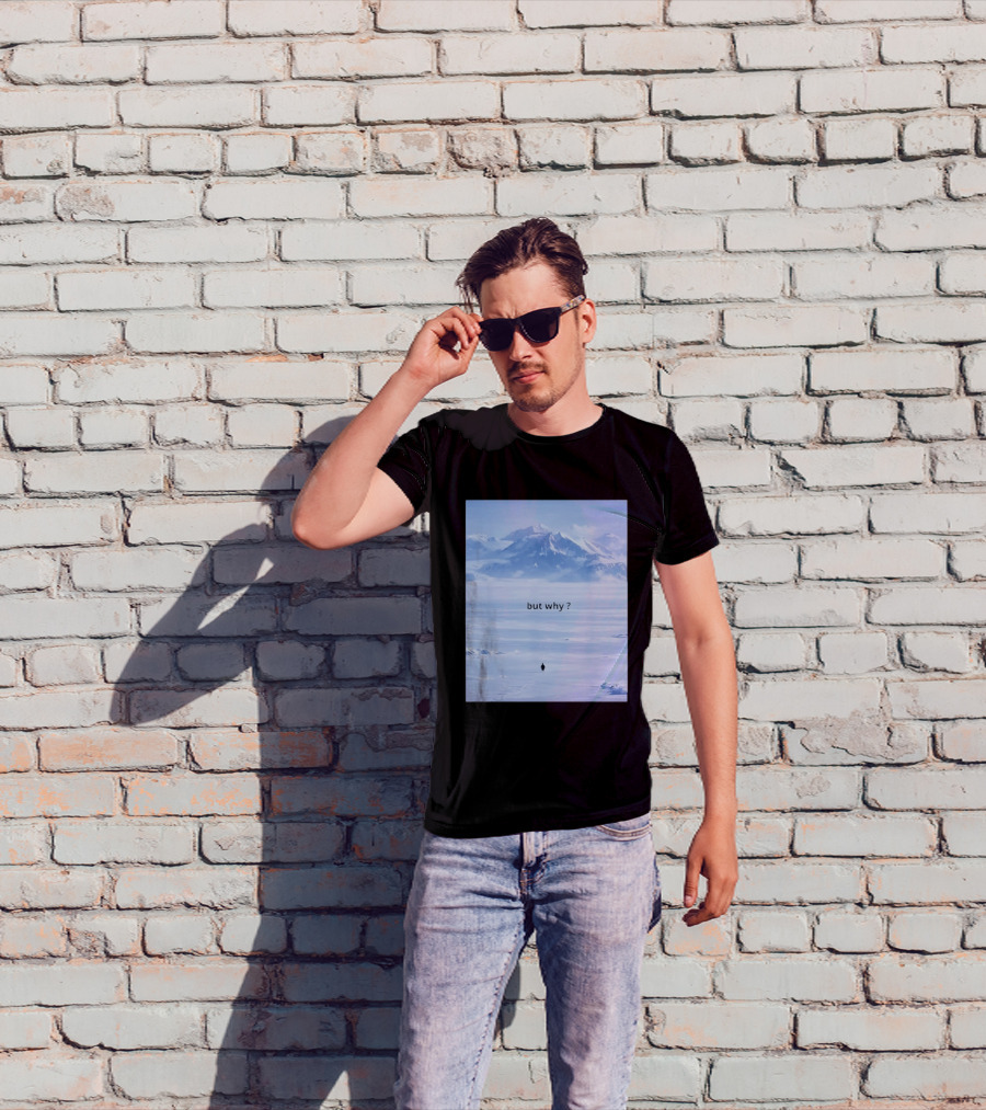 Penguin But Why Meme Snowy Mountains Motivational Scene T-Shirt