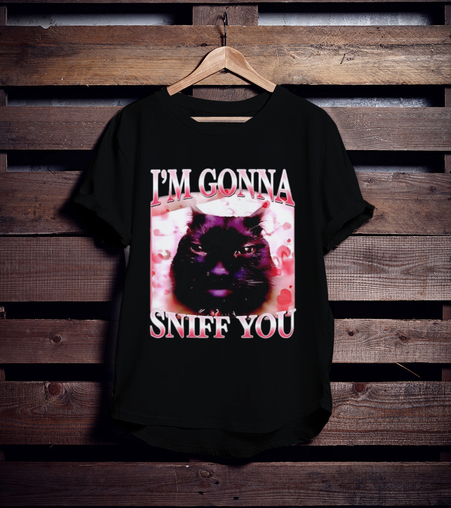 I'm Gonna Sniff You Cat Meme Valentine Aesthetic T-Shirt