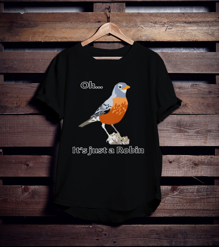 Oh It's Just A Robin Standing On Rock T-Shirt