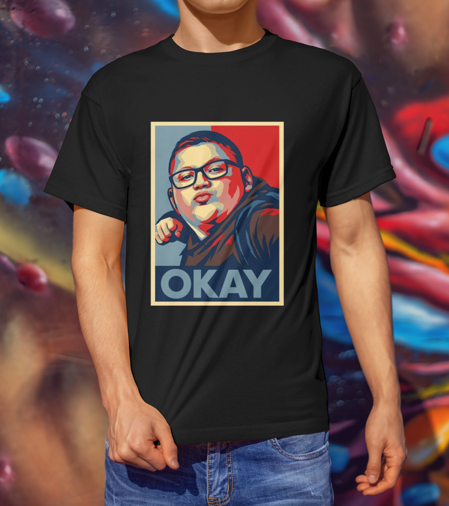 Okay Punch Kid Meme T-Shirt
