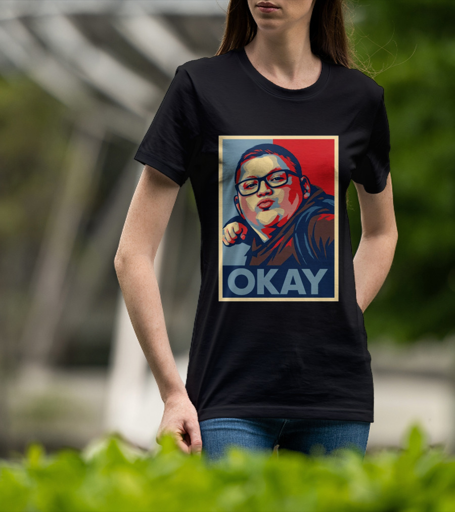 Okay Punch Kid Meme T-Shirt
