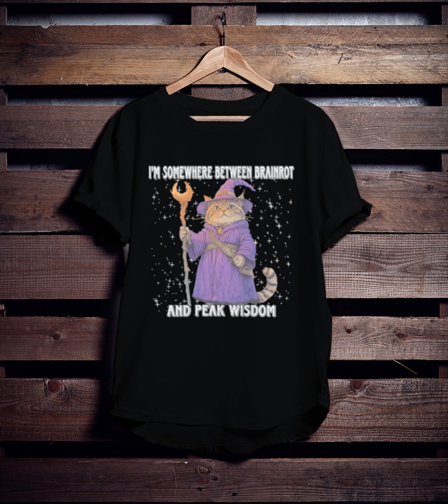I'm Somewhere Between Brainrot And Peak Wisdom Cat Wizard T-Shirt