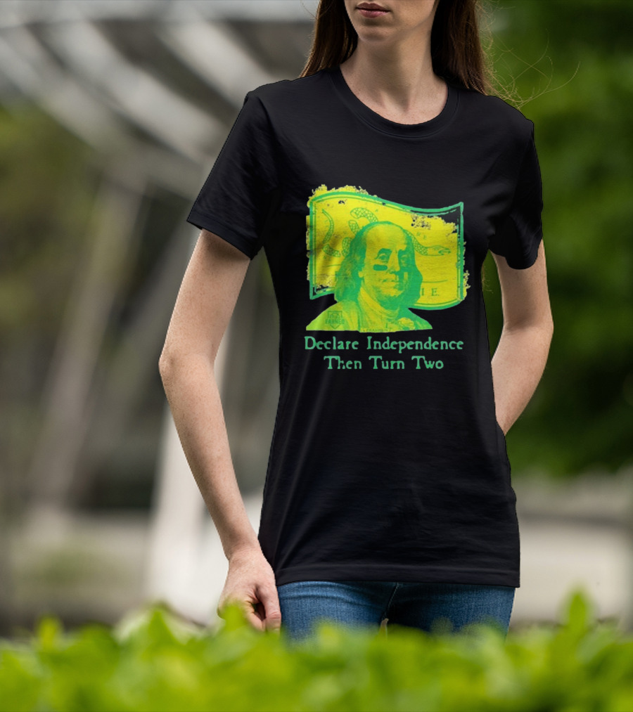 Declare Independence Then Turn Two Benjamin Franklin Join Or Die Snake Flag T-Shirt