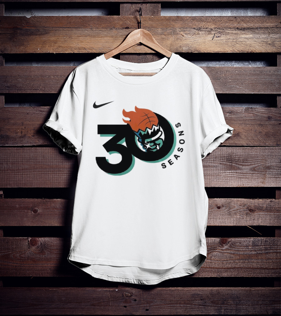 Nike New York Liberty 30 Seasons Basketball T-Shirt