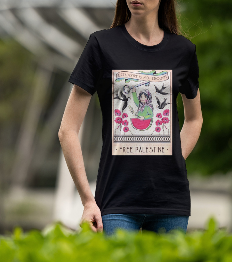 A Ceasefire Is Not Enough Free Palestine Sanction And Dismantle Israel End The Occupation Now T-Shirt